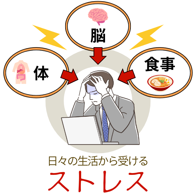 過敏性腸症候群は日々の生活から受けるストレスが関係している
