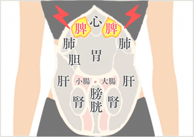 脾(ひ)タイプ