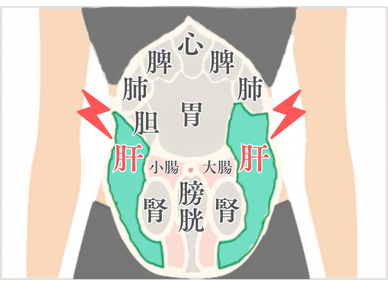 肝タイプ