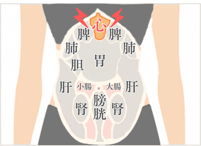 心(しん)タイプ