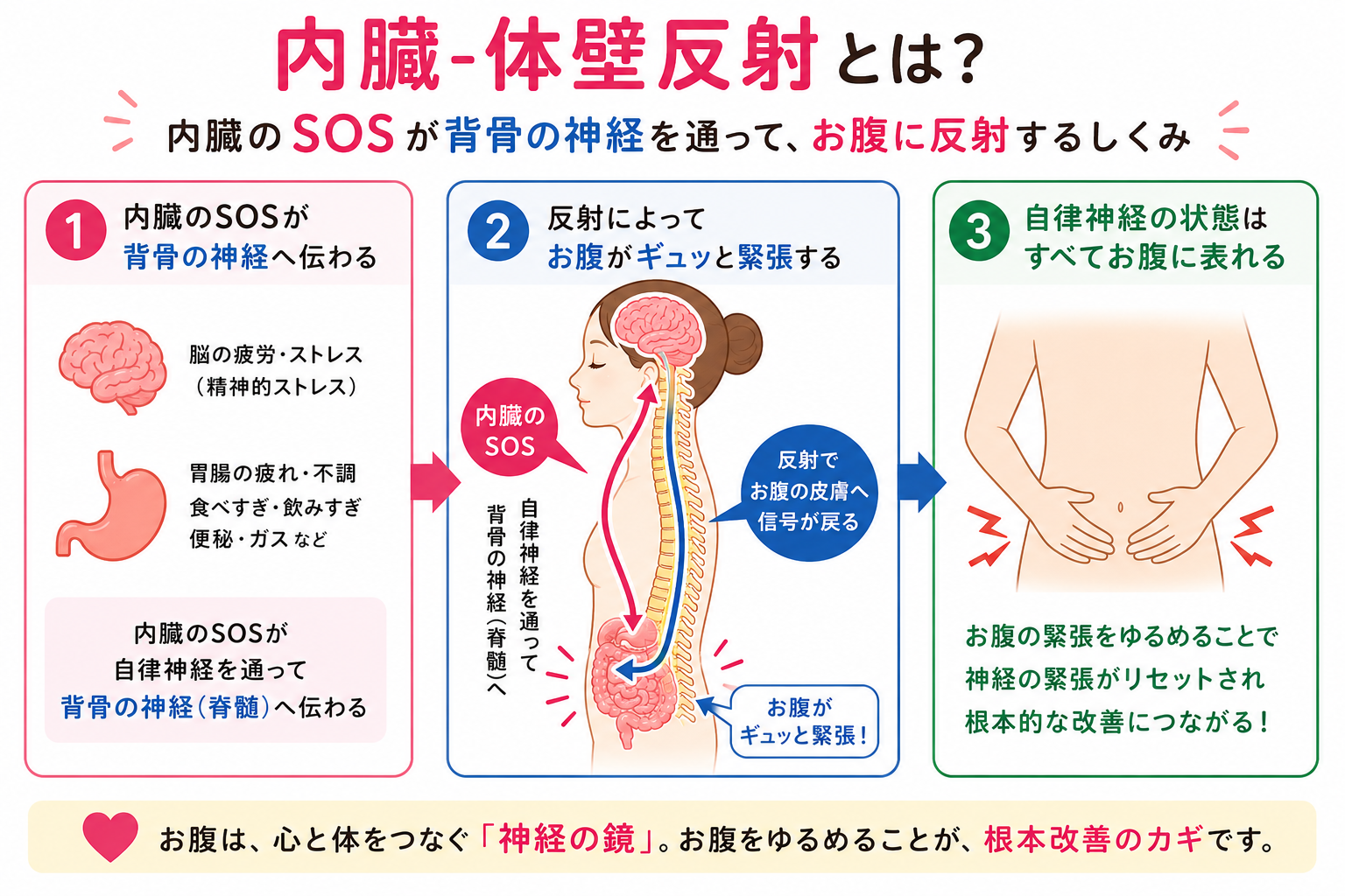 内臓のSOSがお腹に反射するしくみ（クリックで拡大）